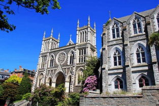 夢(mèng)想照進(jìn)現(xiàn)實(shí) 在新西蘭學(xué)習(xí)動(dòng)漫技術(shù)開發(fā)，踏上成為下一個(gè)宮崎駿的旅程